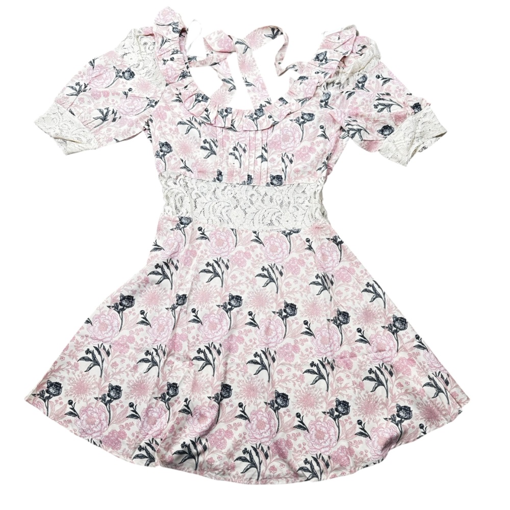 NWT Alamia Floral Lace Cream & Pink Mini Dress Boutique Romantic Coquette Girly - Picture 6 of 16